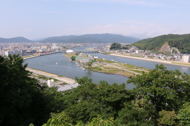 �Ί��s���̕��i